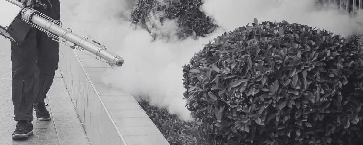 Between Fogging and Fumigation Services, Which Works Best?