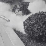 Between Fogging and Fumigation Services, Which Works Best?