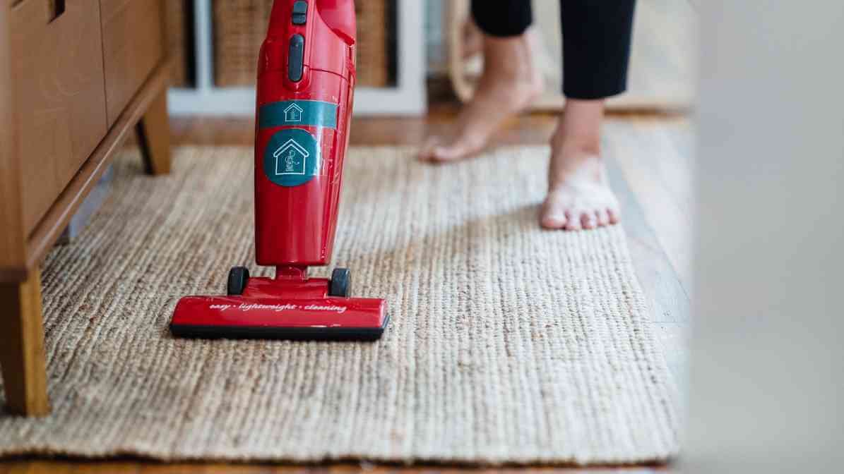 Can Flea Bites On Humans Cause Harm? - Regular Vacuuming