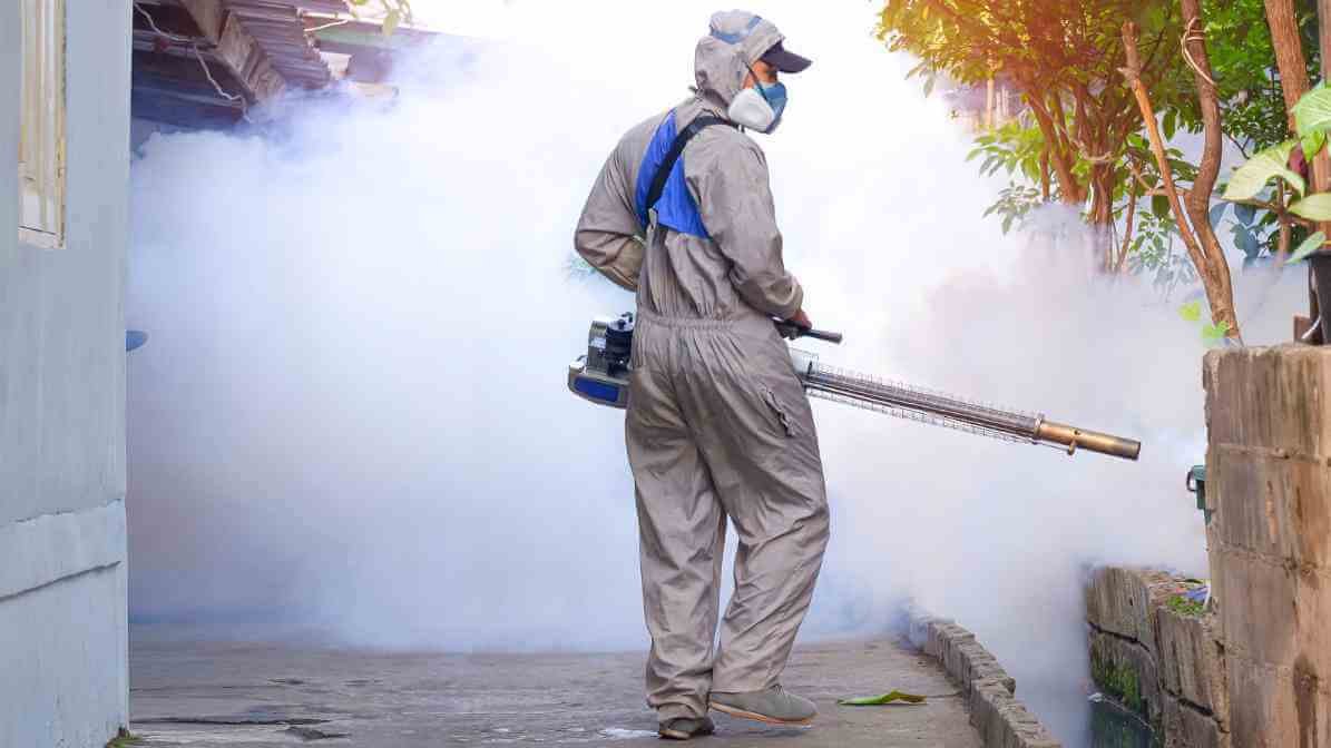 Efficacy of Fogging