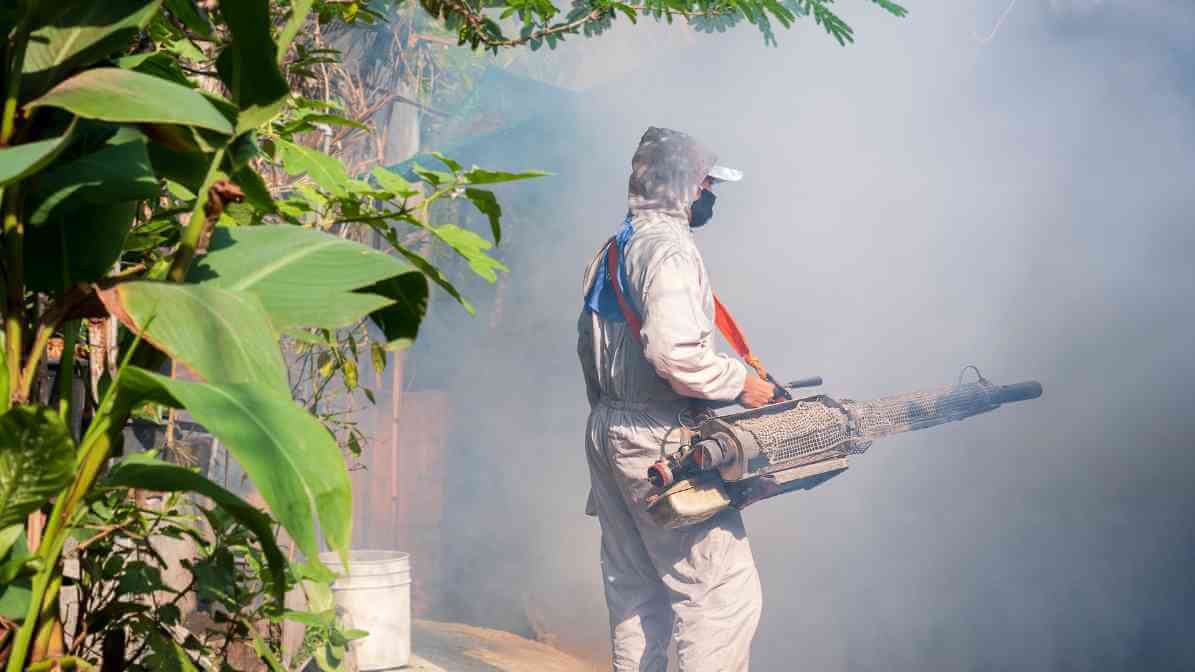Fogging Property Compound