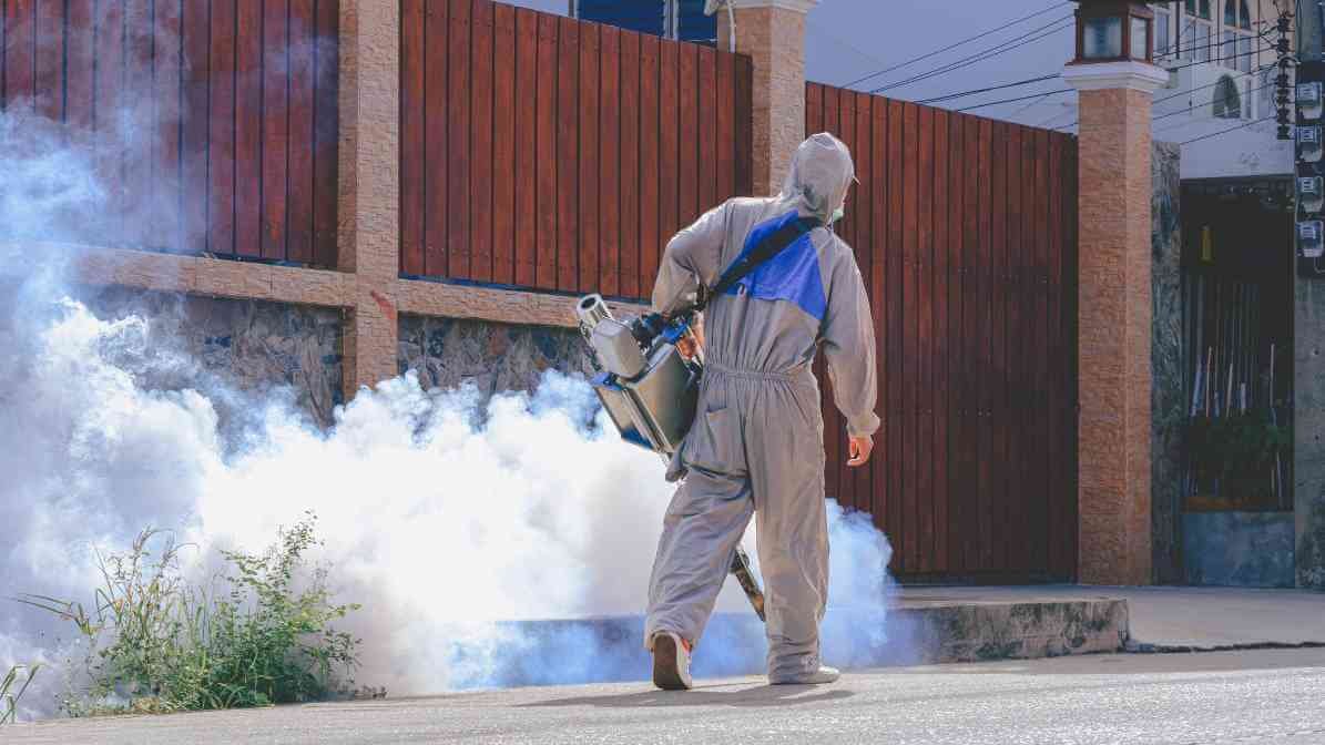 Fogging Services