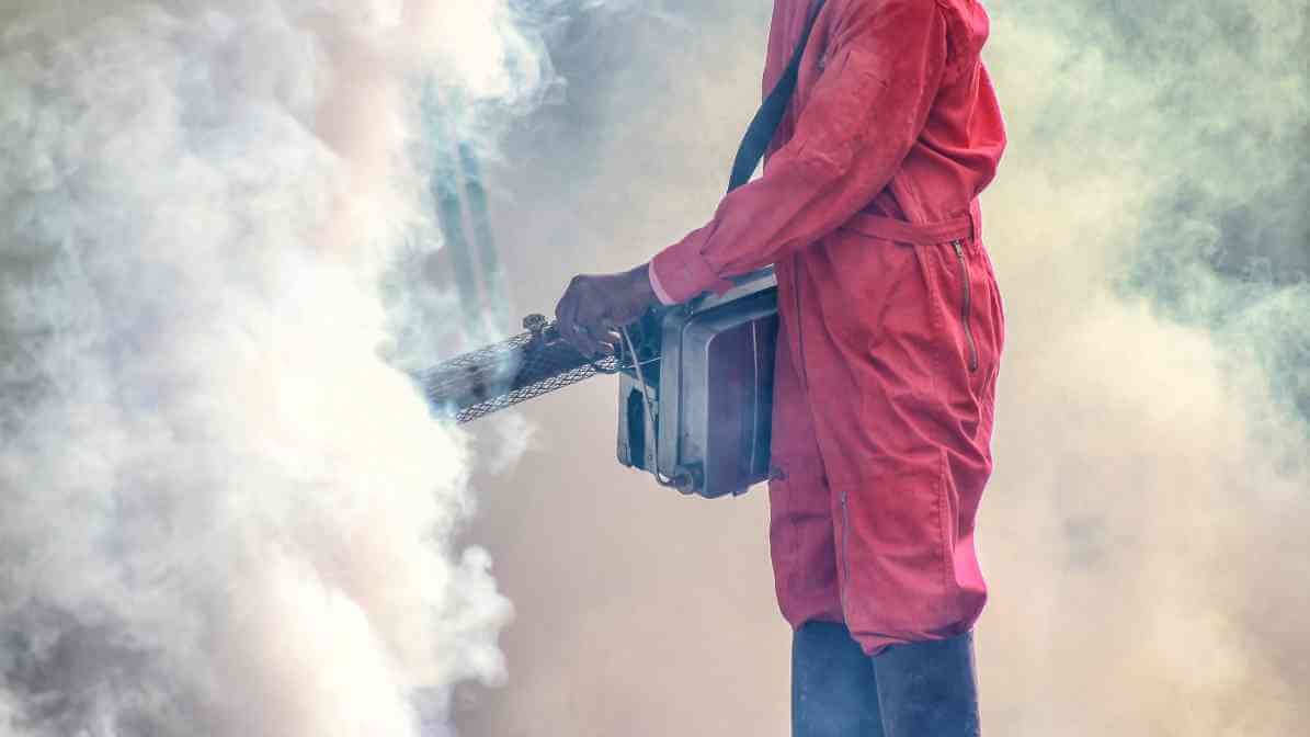 Fumigation Services