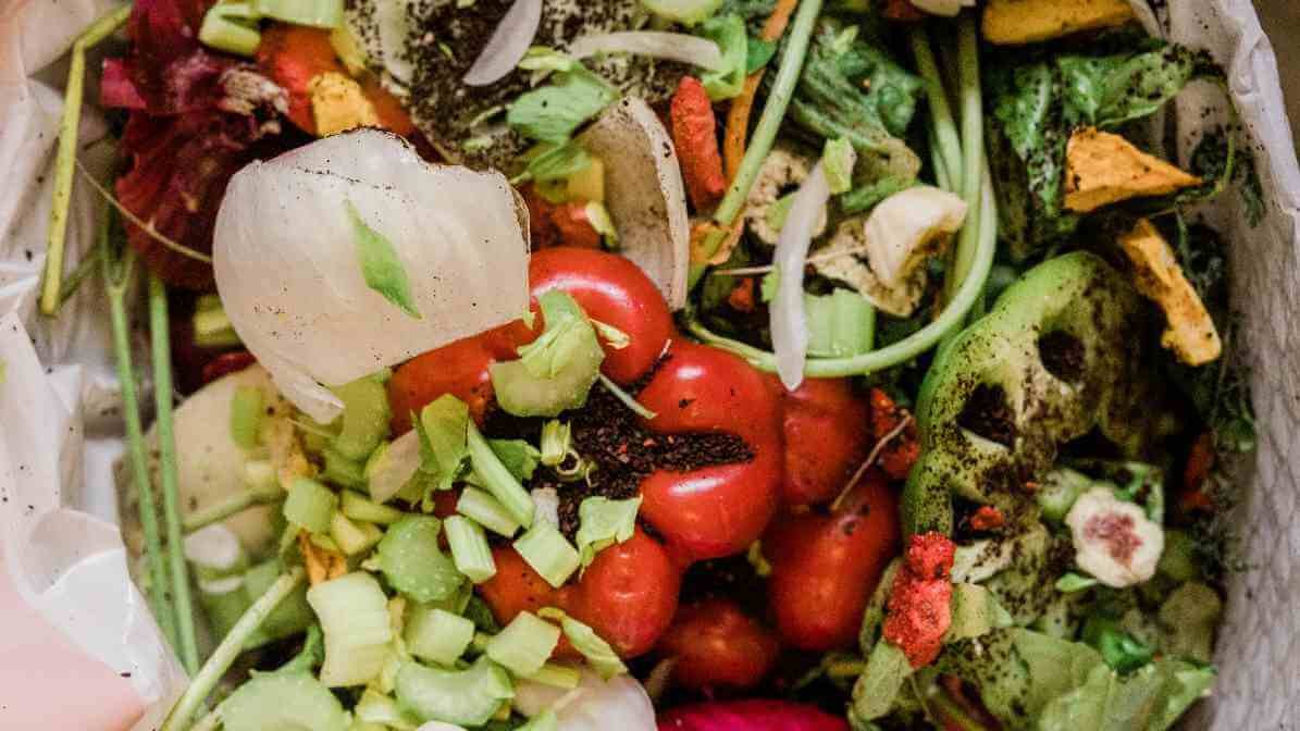 Manage Food and Waste Storage