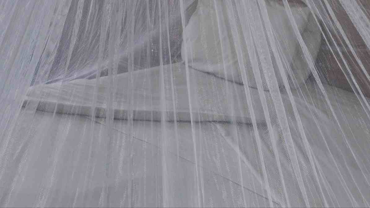 Mosquito Net
