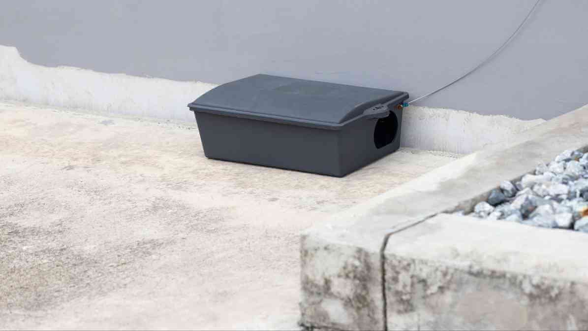 6 Dangerous Types of Diseases Rats and Mice Spread - Rat Trap Unit