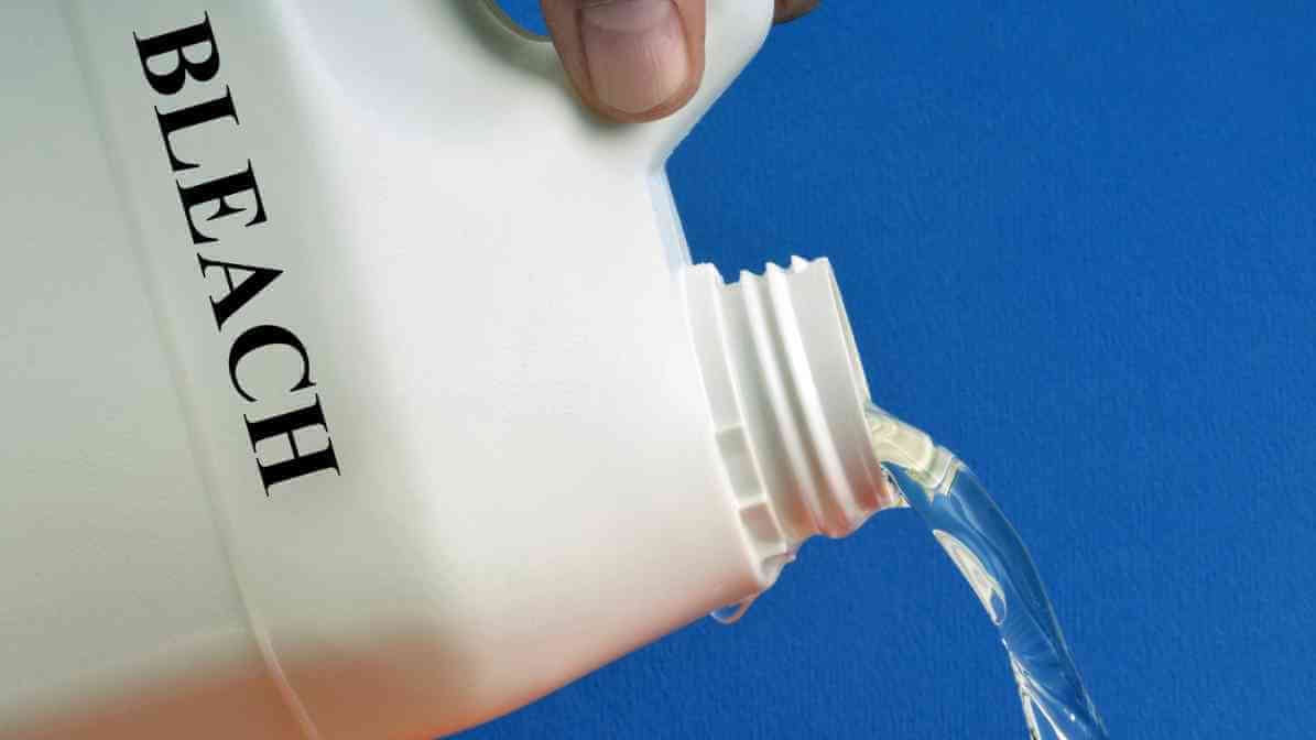 Handling Rat Droppings and Urine - Cleaning Solution