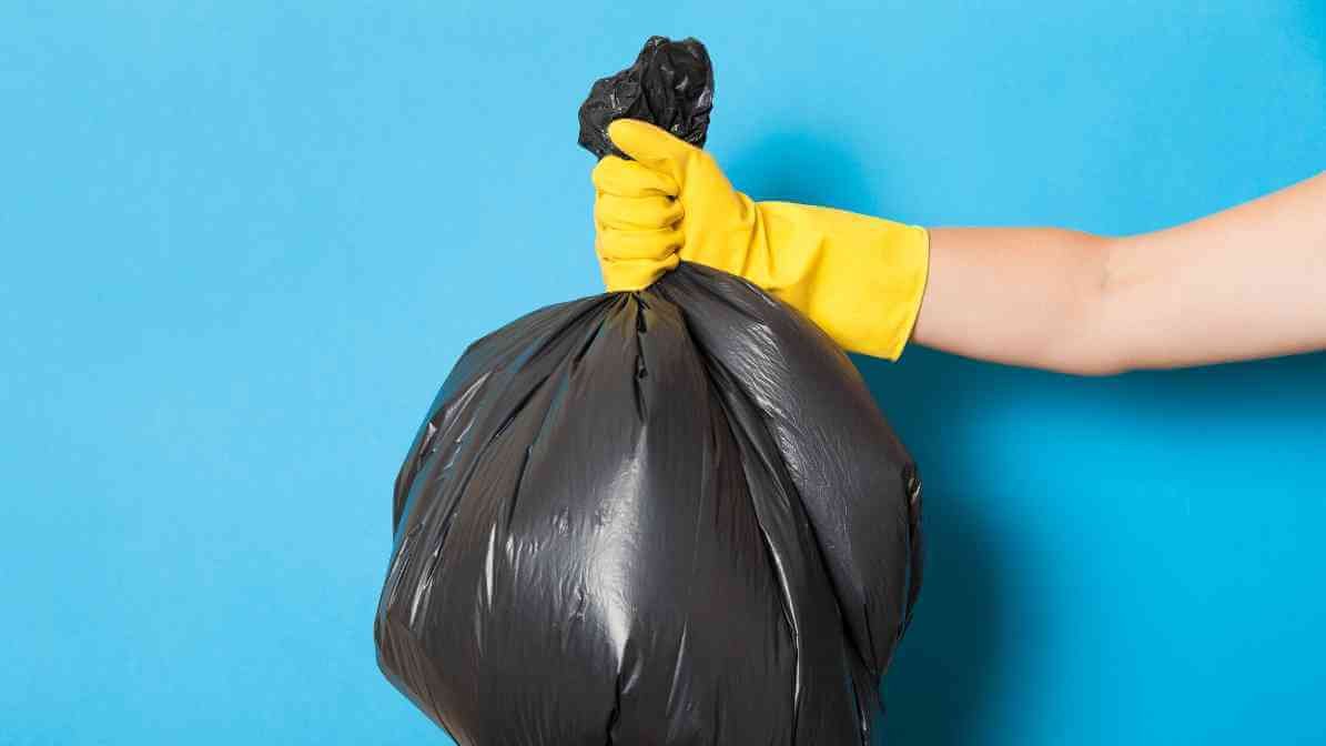 Handling Rat Droppings and Urine - Secure Disposal