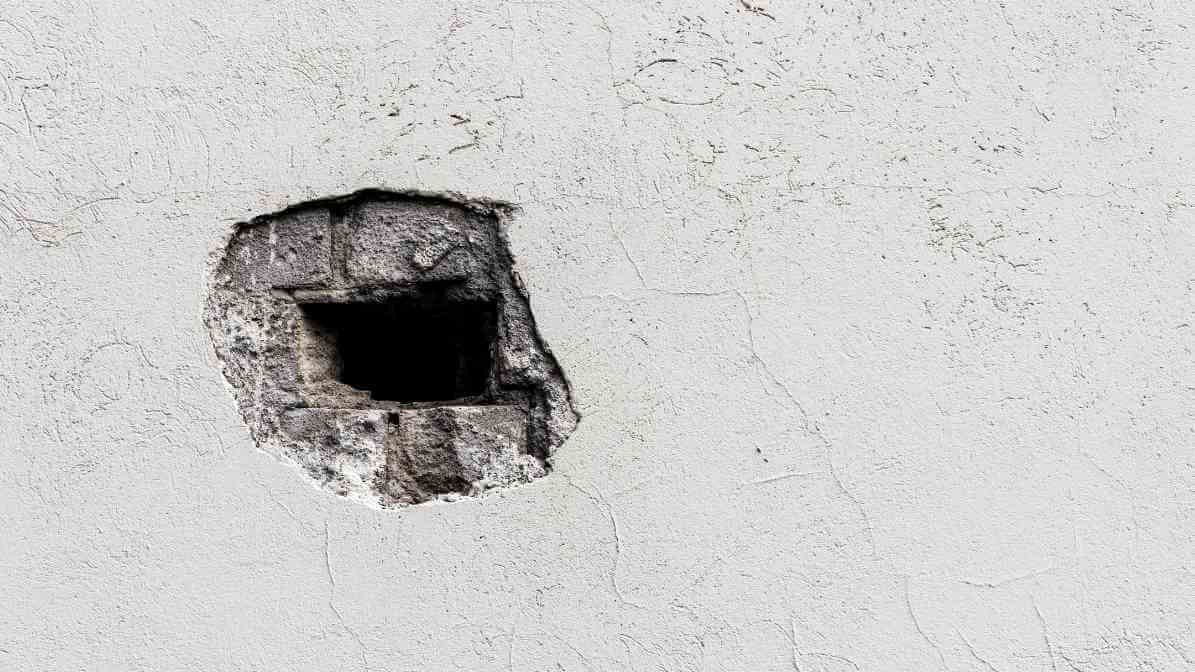 Rat Trap and Proofing Solution - Seal Cracks