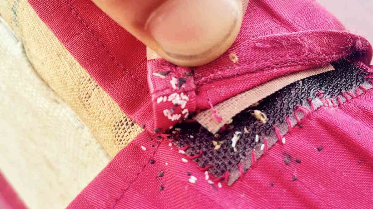 Bed Bugs Size Revealed - Bed Bug Eggs Horrifying Signs You Must Know