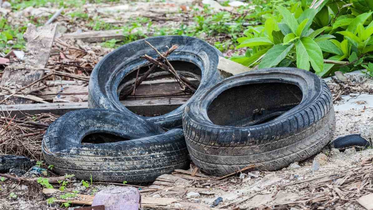 Mosquito Breed in Abandon Items Outdoors | Innovative Pest Sdn Bhd Mosquito Breed in Abandon Items Outdoors