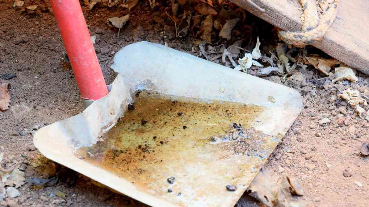 Mosquito Breed in Construction Site | Innovative Pest Sdn Bhd Mosquito Breed in Construction Site