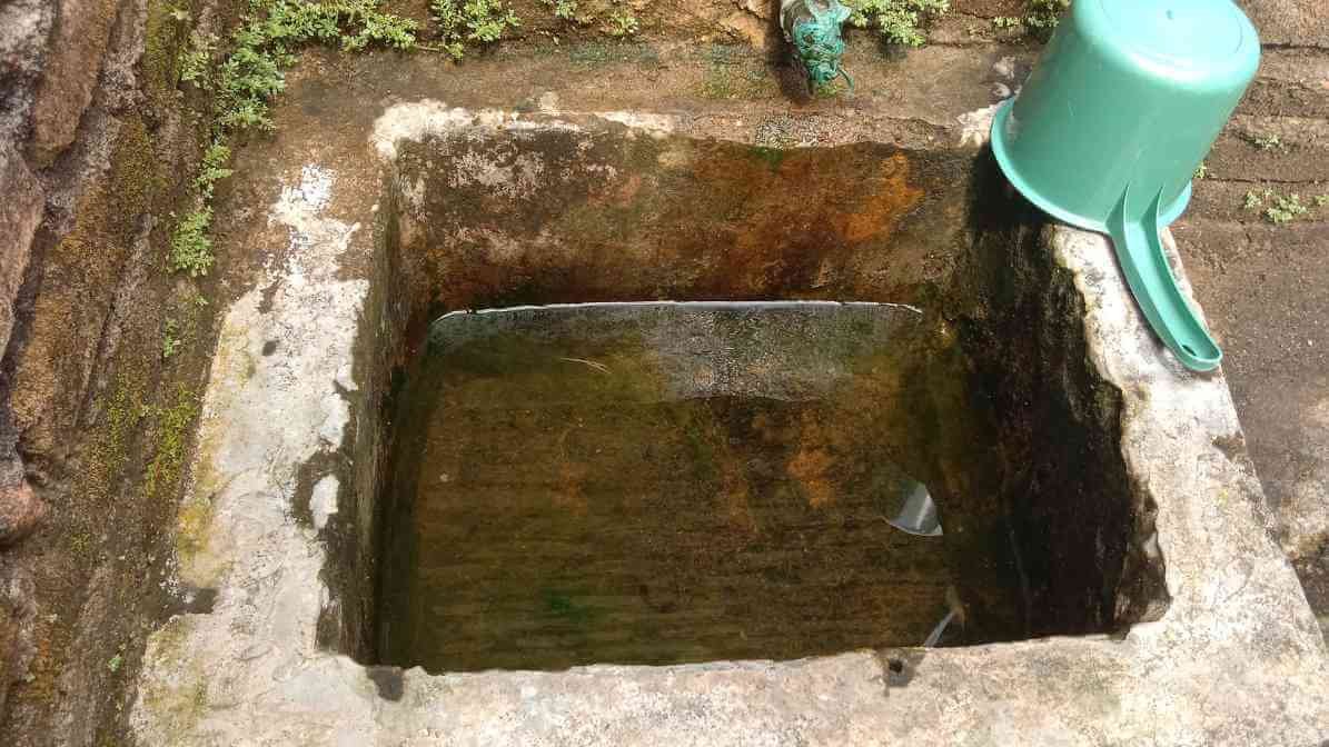 Mosquito Breed in Standing Water | Innovative Pest Sdn Bhd Mosquito Breed in Standing Water