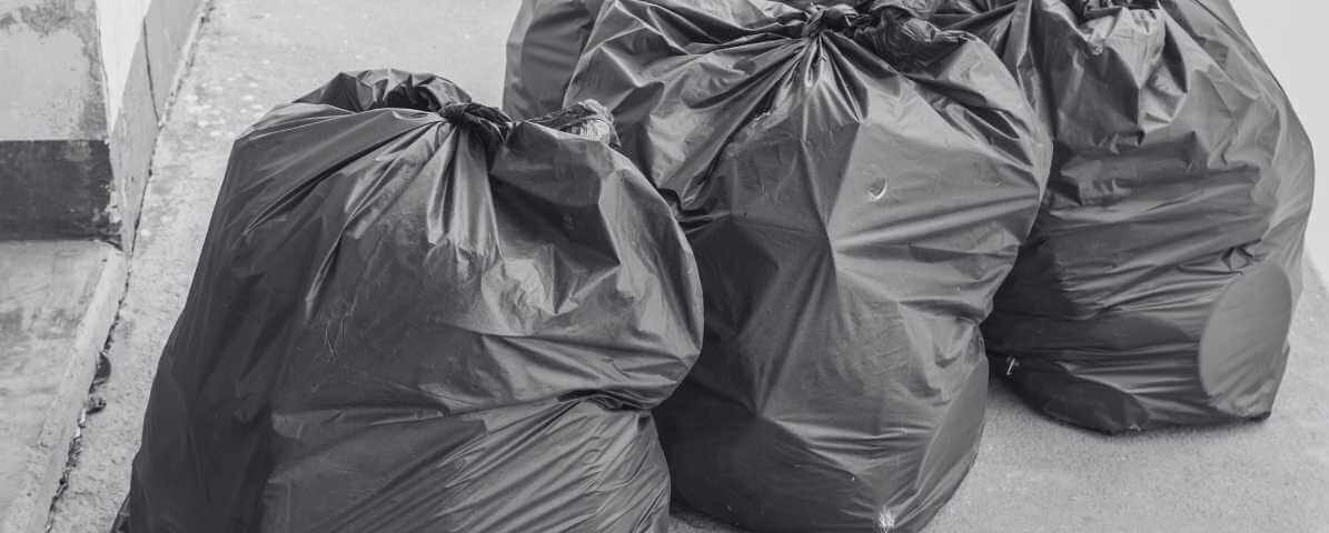 Simple Steps on How to Get Rid of Bed Bugs Quickly