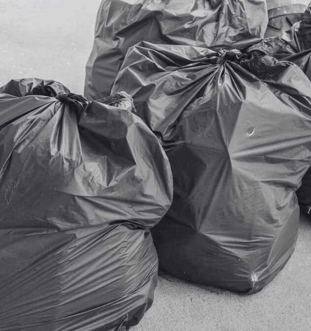 Simple Steps on How to Get Rid of Bed Bugs Quickly