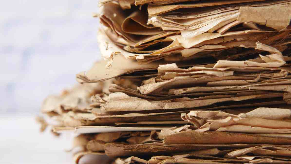 Effective Booklice Control in Johor Bahru | Innovative Pest Sdn Bhd Effective Booklice Control in Johor Bahru