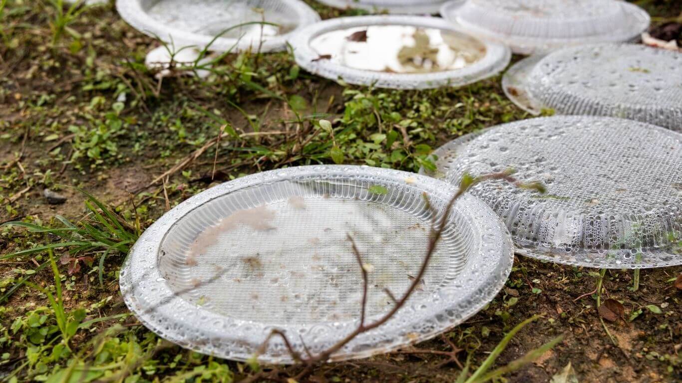 Di Bekas Plastik di Kawasan Luar | Innovative Pest Sdn Bhd Di Bekas Plastik di Kawasan Luar