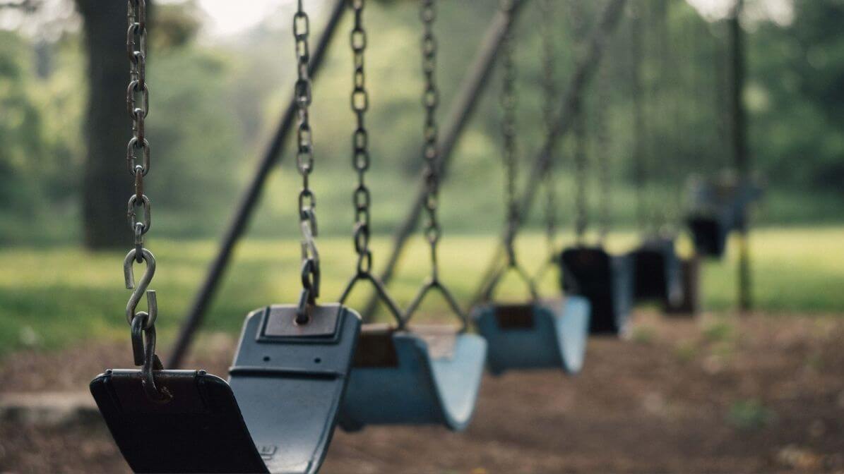 Wasps Near Playground Area | Innovative Pest Sdn Bhd Wasps Near Playground Area